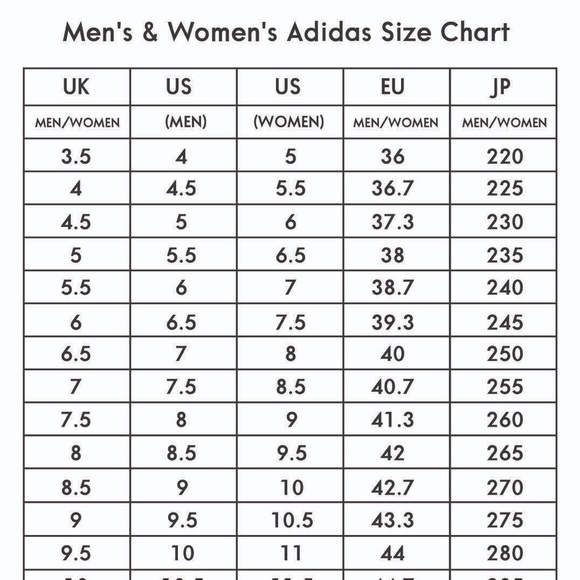 Yeezy Boost 350 V2 - Picture 12 of 12